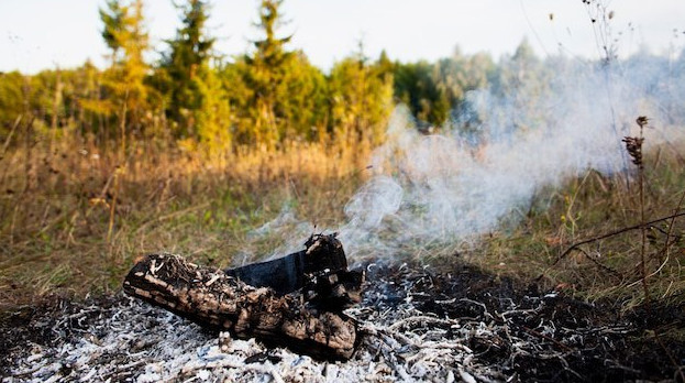 МЧС: на территории Геленджикского лесничества нет очагов активного горения
