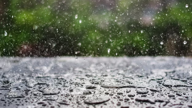 В Ростове городские службы перевели в режим повышенной готовности из-за непогоды