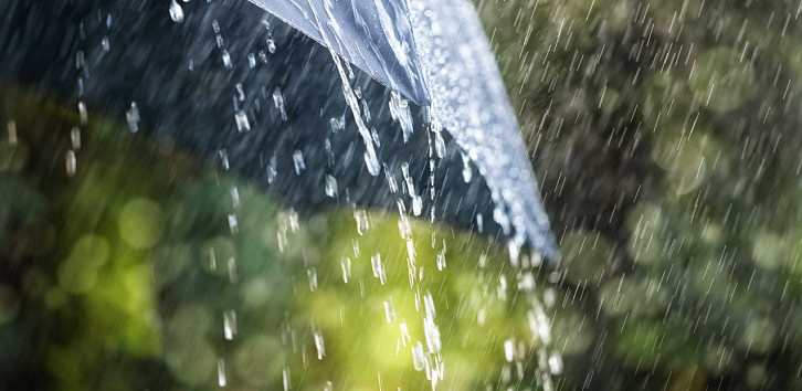 Жителей Сочи предупредили о сильном дожде