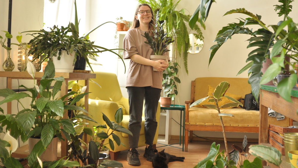 «Оживить» квартиру: как жительница Краснодара открыла шоурум комнатных растений
