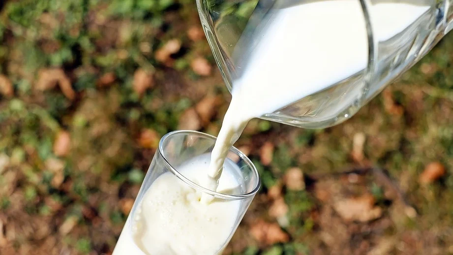 Маслосырзавод «Славянский» оштрафовали на 640 тыс. рублей за некачественное молоко