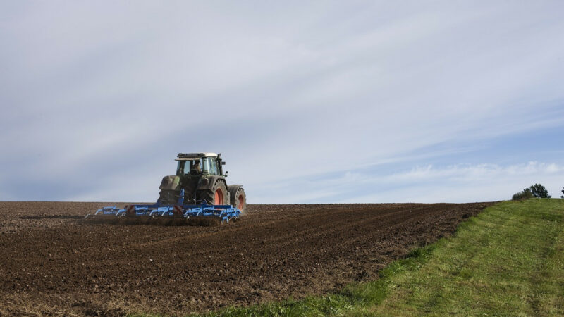 Поддержка фермера: как владельцу КФХ на Кубани получить льготный займ