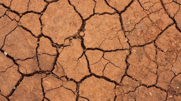 Эксперт оценил риск возникновения новых землетрясений в Краснодаре