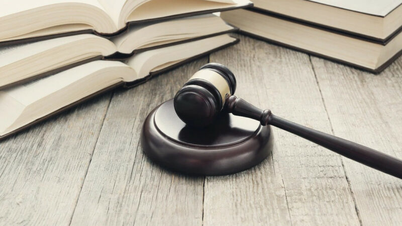 Райффайзенбанк добивается банкротства лагеря «Родник» в Анапе из-за долга в 80 млн рублей
