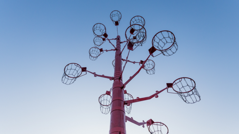 Площадки для собак и места для йоги: какие тренды сложились на рынке уличной мебели