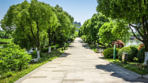 В Сириусе во время Всемирного фестиваля молодежи ограничат вход в Олимпийский парк