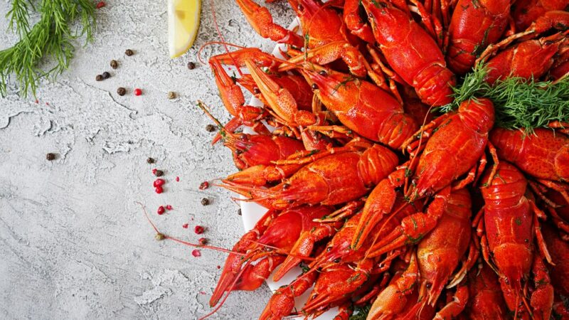 Мороженое со вкусом раков появилось в ростовской джелатерии