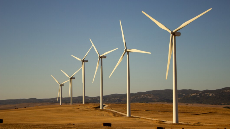 Донские ветропарки столкнулись со сложностями при импортозамещении