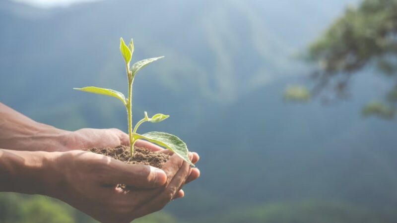 Спрос на экологов на Кубани в 2023 году вырос почти в 1,5 раза