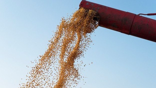 В Ростовской области осталось около 5 млн тонн нераспроданного зерна