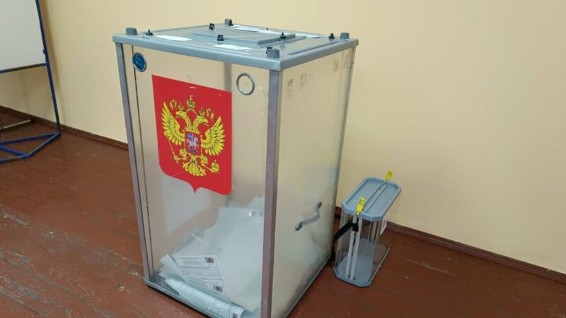 Председатель ОП Кубани рассказала о работе наблюдателей