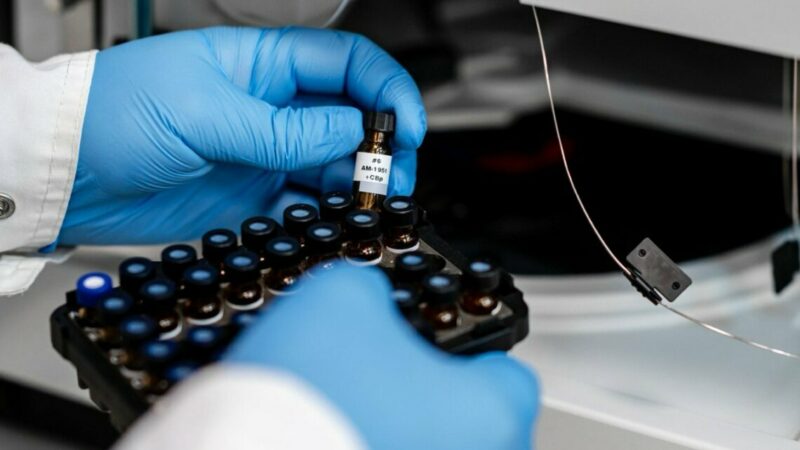 «Сириус» направит свыше 850 млн рублей на поддержку научных проектов