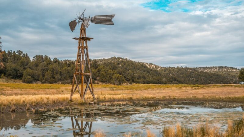 Таганрогская IT-компания создаст региональную сеть из 500 метеостанций