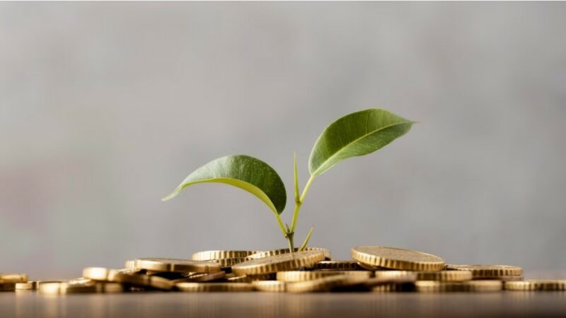 Куда предпринимателю инвестировать, кроме своего бизнеса