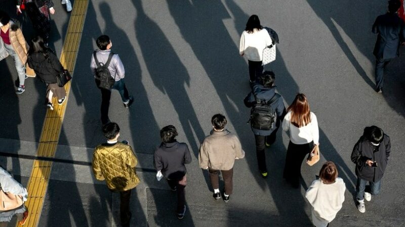 На Кубани в 2023 году миграционный прирост населения увеличился в 3 раза