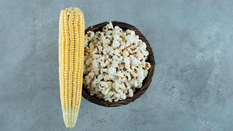 На Кубани экспорт кукурузы для попкорна и хлопьев в I кв. 2024 г. вырос на 48%
