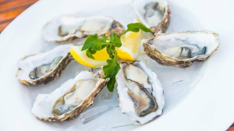 На Кубани в 2024 г. ожидается сокращение производства мидий и устриц