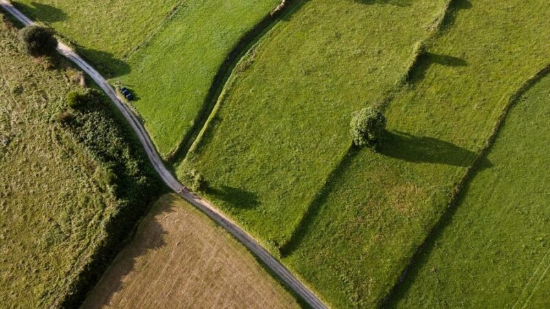 На Кубани в 2024 году средняя стоимость «сотки» земли выросла в 1,5 раза