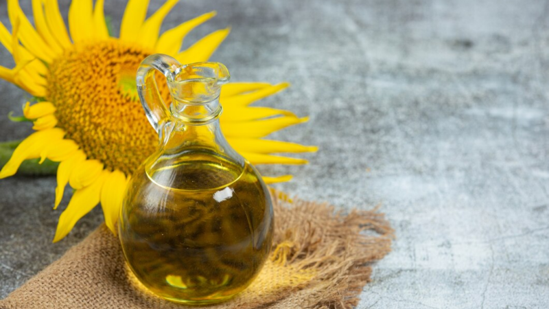 На Кубани за год экспорт подсолнечного масла вырос в 1,4 раза