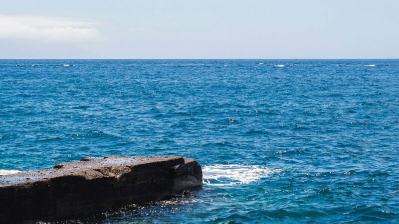 Глава Кубани: муниципалитеты Приазовья имеют большой потенциал