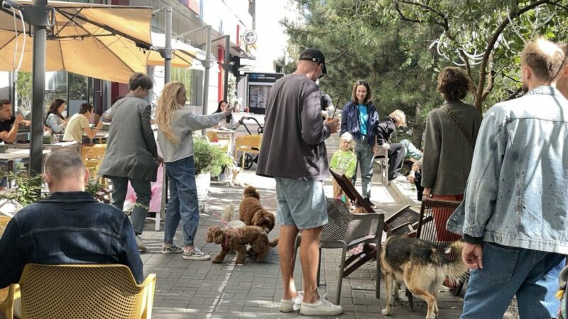 «Собаки вызывают умиление»: выгодно ли создавать дог-френдли кафе в Ростове