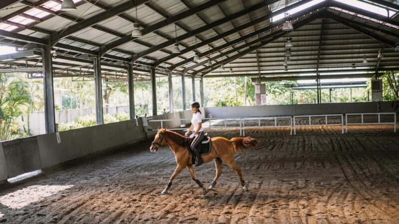Собственник ростовского ипподрома заявил об отсутствии планов по застройке участка