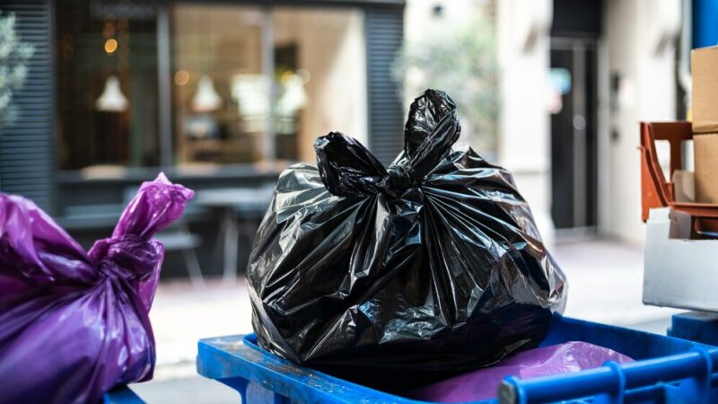 В Ростове предложили создать пункты хранения для вывозимого мусора 