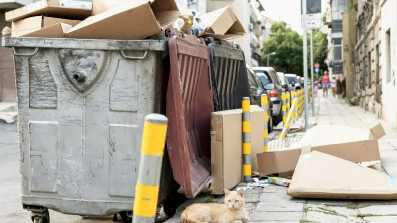 Более 2 тыс. юрлиц в Ростове не заключили договоры на вывоз мусора