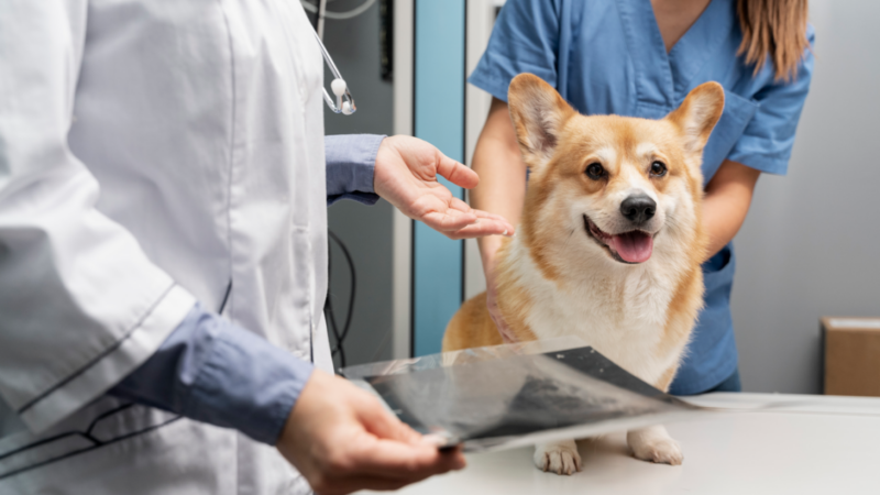 Инструктор по вождению, тракторист и ветконсультант: кто на Юге может зарабатывать до 219 тыс. рублей