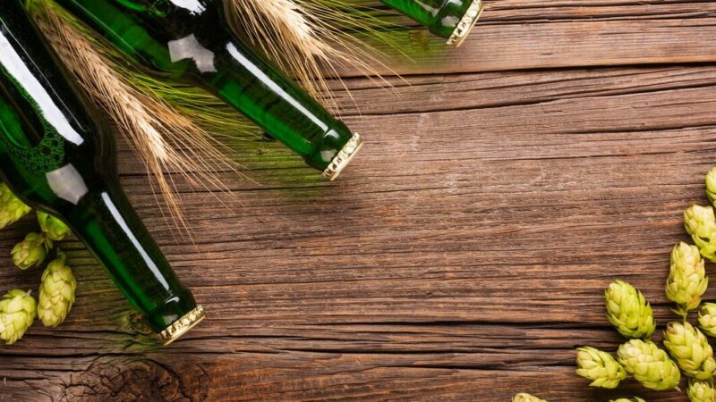 Эксперт: Кубань может стать полигоном для развития хмелеводства