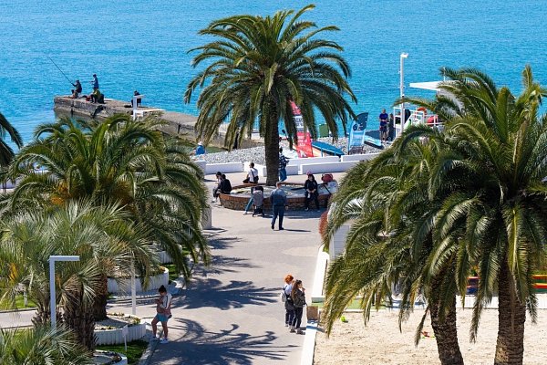 В Сочи с начала 2024 года турпоток вырос на 9%