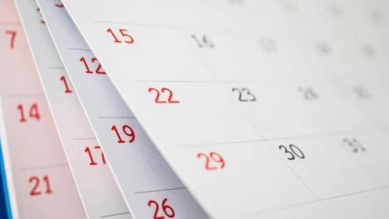 Календарь предпринимателя на июнь 2024