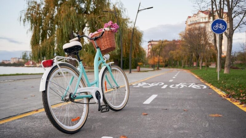 Операторы проката электросамокатов готовы инвестировать в создание велодорожек в Ростове