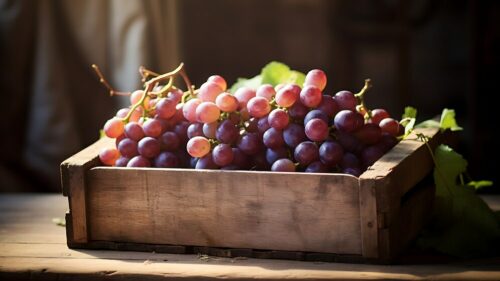 В Ростовской области появится «винное кольцо туризма»