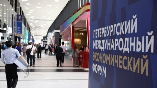 Анапа планирует на ПМЭФ-2024 заключить соглашения о строительстве двух виноделен