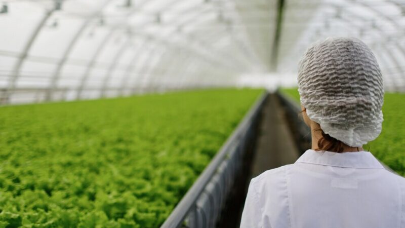 Использование агрохимикатов на Дону за год выросло на 73%