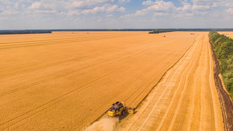 Сезонный работник: особенности трудовых взаимоотношений