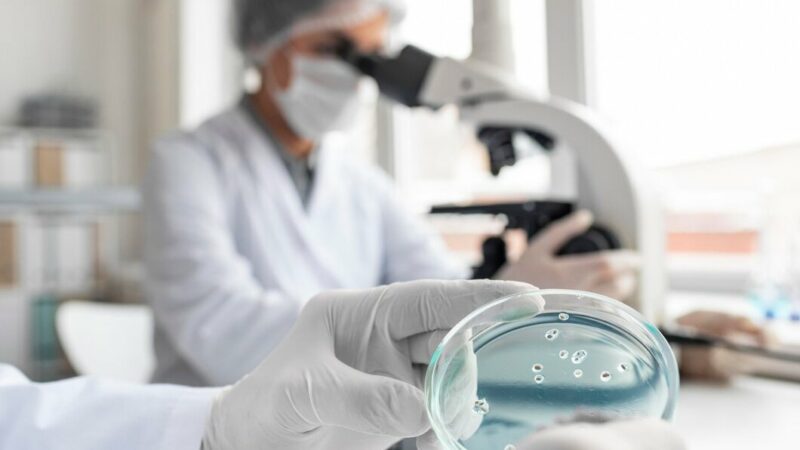 В шести районах Дона выявили случаи заражения геморрагической лихорадкой