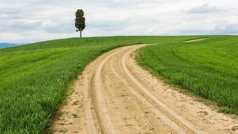 В Ростове грунтовые дороги причислили к объектам благоустройства