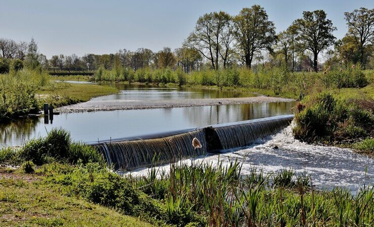 Уровень воды в Цимлянском водохранилище позволит обеспечить все отрасли водой