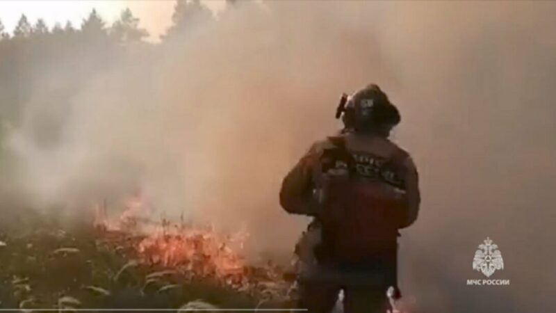 В Ростовской области третий раз за неделю тушат лесной пожар