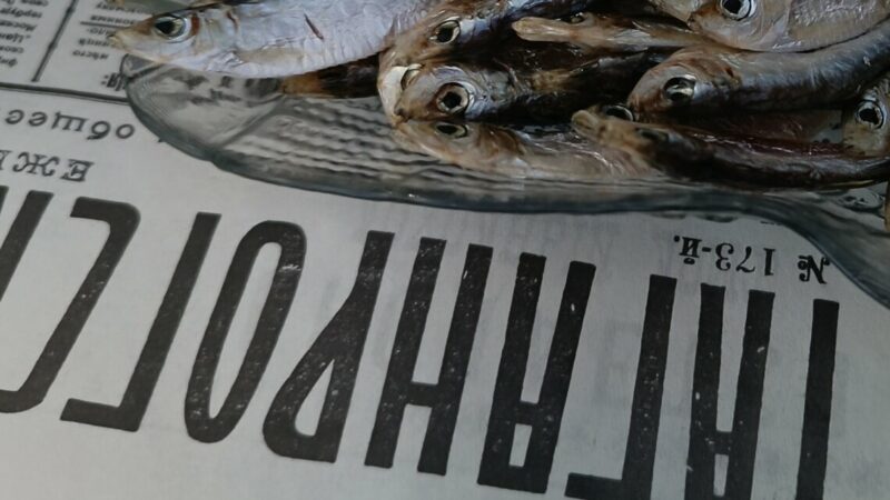 Гастрономические байки Богудонии: как местные предприниматели обустроили «ресторан» на берегу Азовского моря