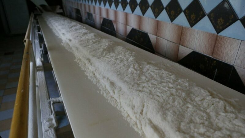 На юге в августе 2024 г. прогнозируют снижение производство сахара на 25%