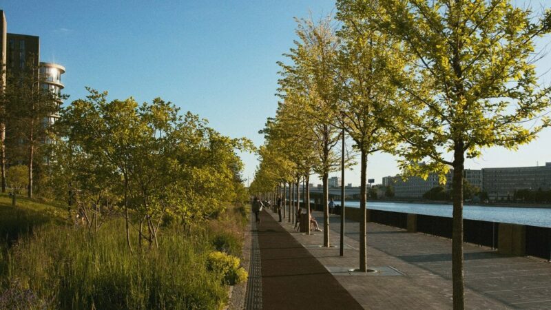 Новый подрядчик завершит реконструкцию парка «Дружба» в Ростове