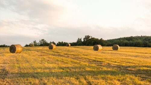 Рынок агродронов в РФ сократился на 70% из-за запрета беспилотников в ЮФО