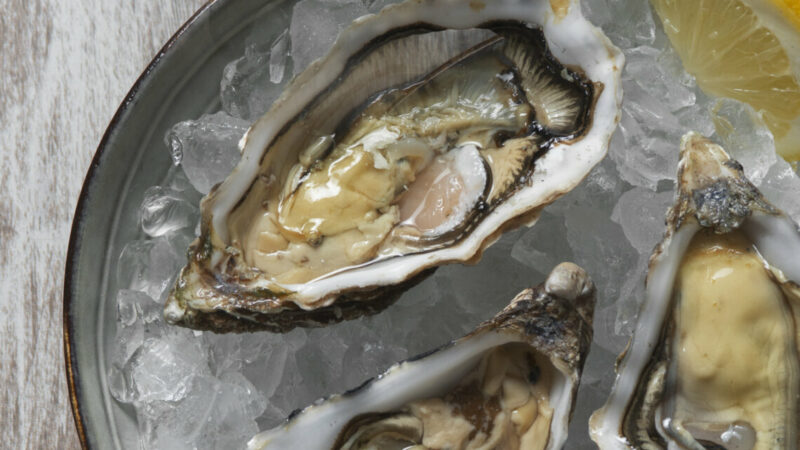 Ученые адаптируют тихоокеанских устриц к условиям Азово-Черноморья