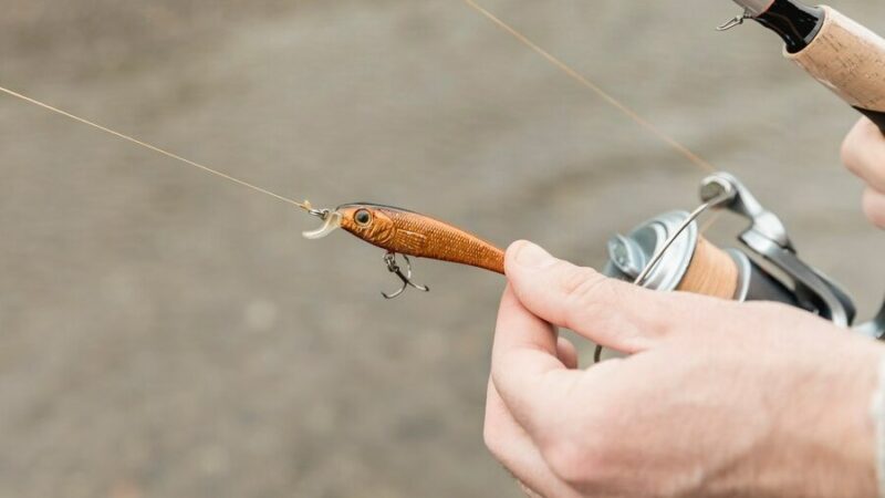 Ростов занимает 9 место в РФ по интересу жителей к рыбалке