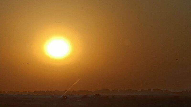 МЧС Кубани предупредило о сильной жаре до +41 градуса