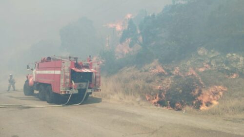 Огонь повредил шесть домиков на территории базы отдыха в Новороссийске