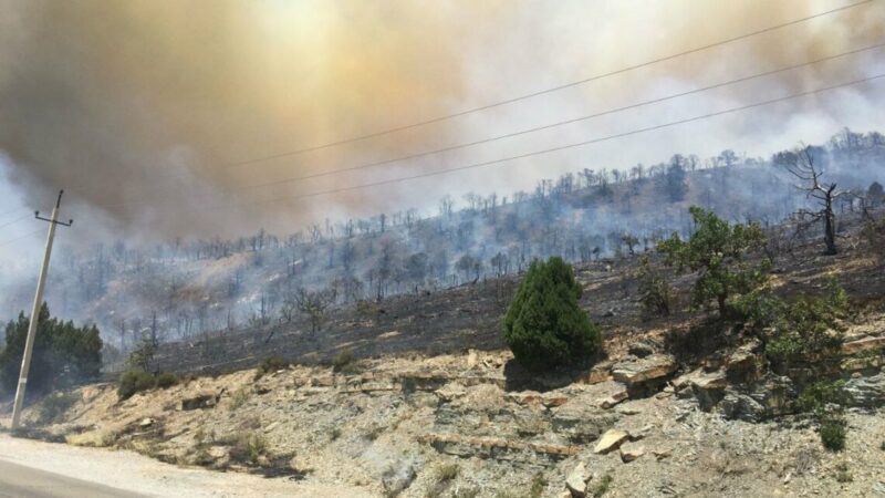 Площадь пожара под Новороссийском увеличилась до 28 га
